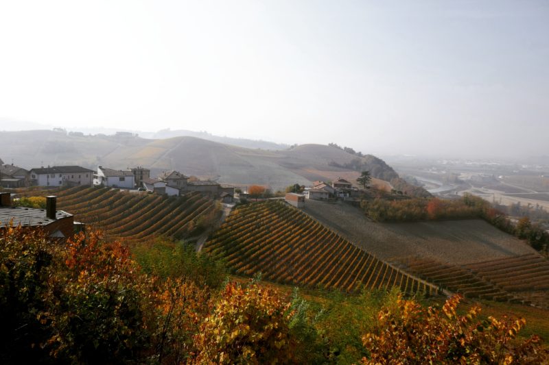 Op wijnreis door Barolo - Piemonte