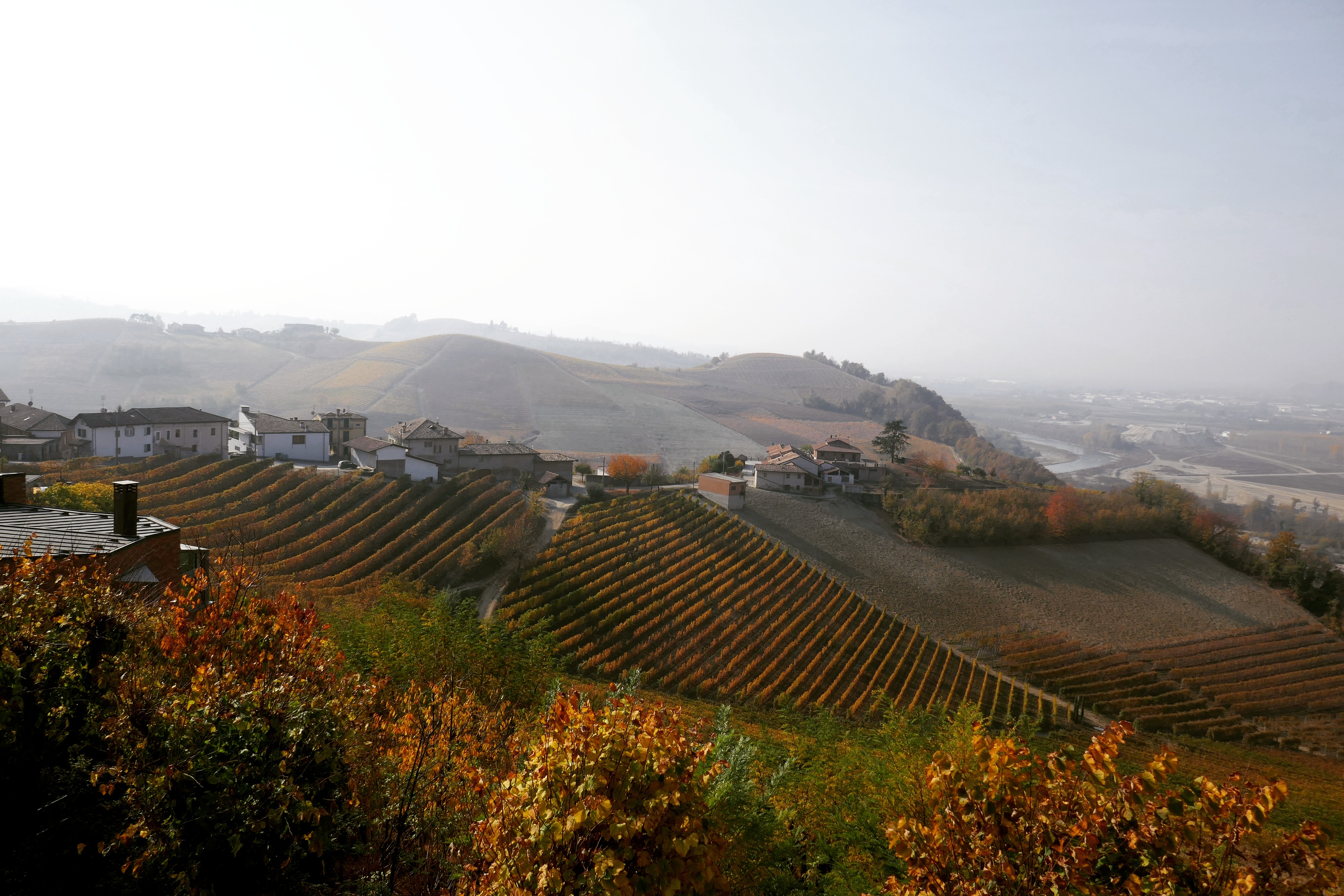 Op wijnreis door Barolo - Piemonte